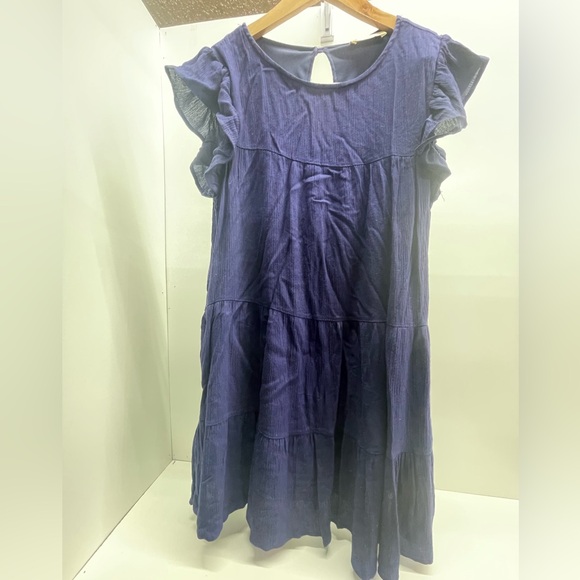 Altar'd State Dresses & Skirts - Altar'd State Indigo Ruffle Midi Dress